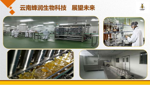 云南蜂润集结爱心，科技助残奥健儿出征