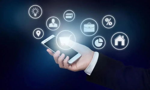 浅谈财务信息化建设在互联网服务领域的价值与实践